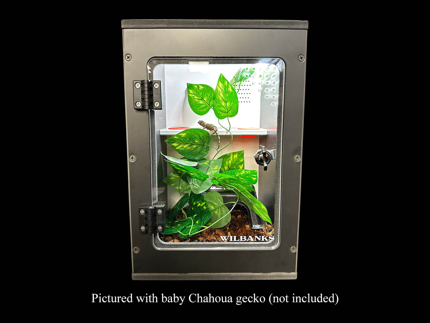 Wilbanks Signature Gecko Enclosure Kit