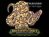 Firefly Ball Python – Breeders Choice '26