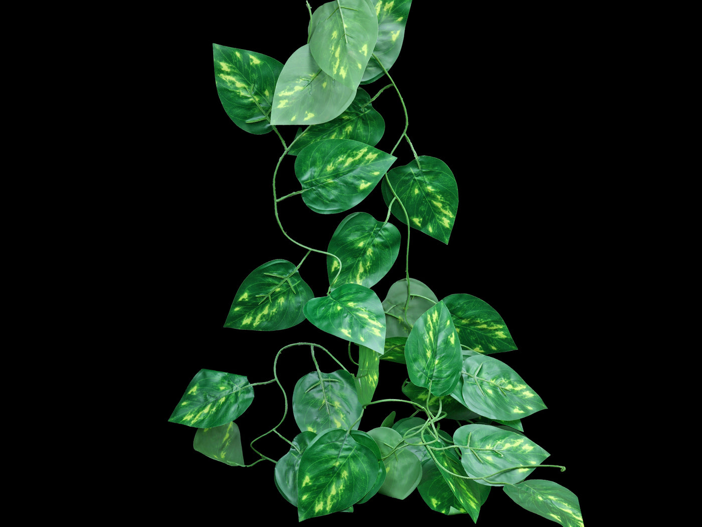 Pathos Vine - Wilbanks Realistic Plant