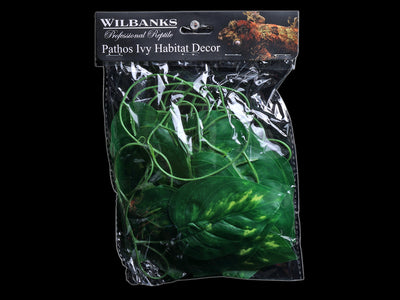 Pathos Vine - Wilbanks Realistic Plant