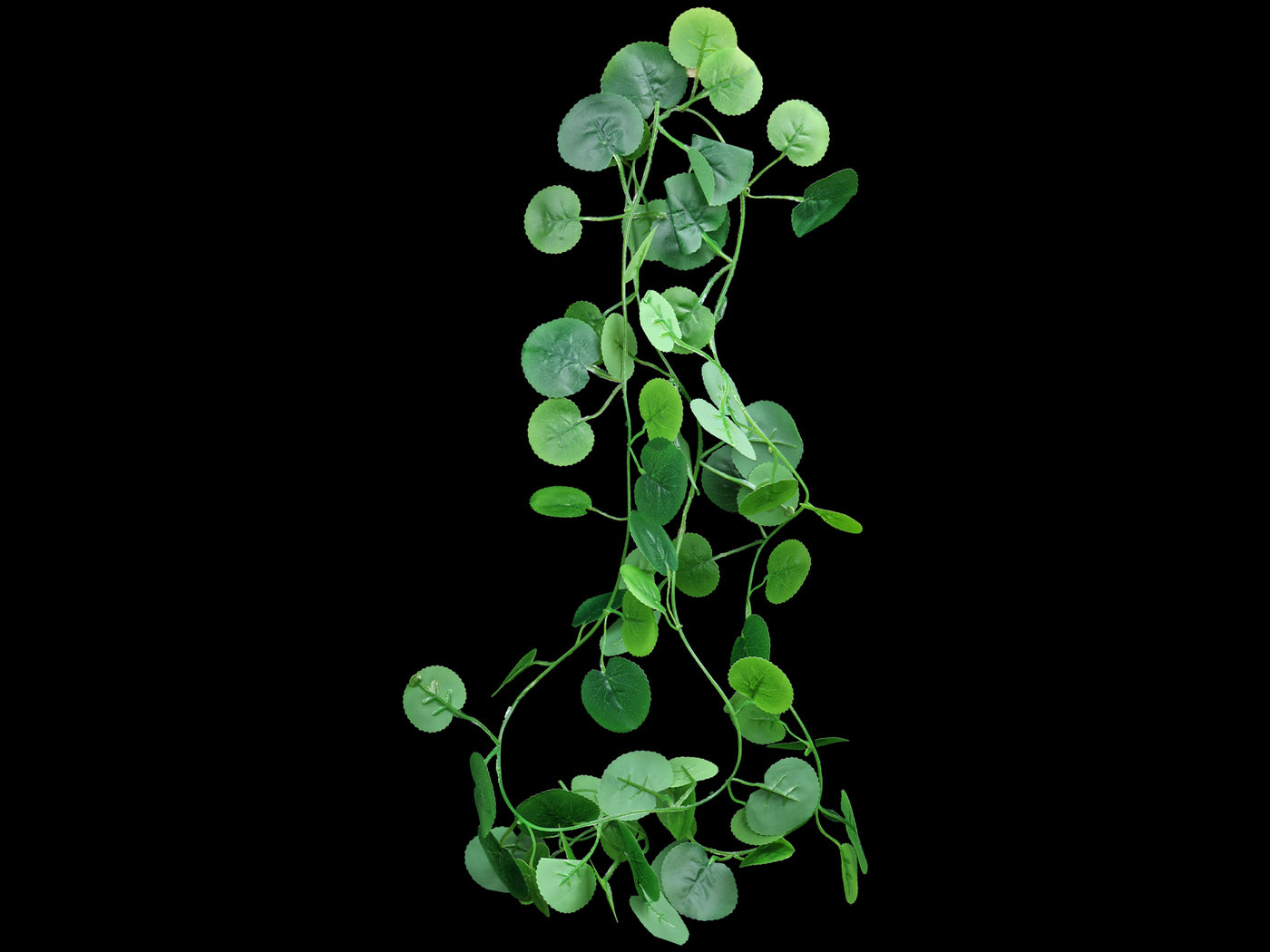 Reniform Vine - Wilbanks Realistic Plant