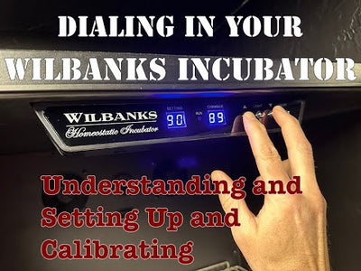 Wilbanks Homeostatic Incubator™ WH-80 (Holds 7 trays of gecko eggs or 5 Ball Python Clutches*)