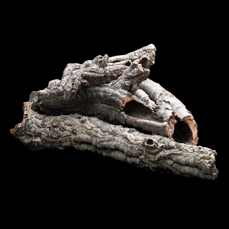 Cork Bark