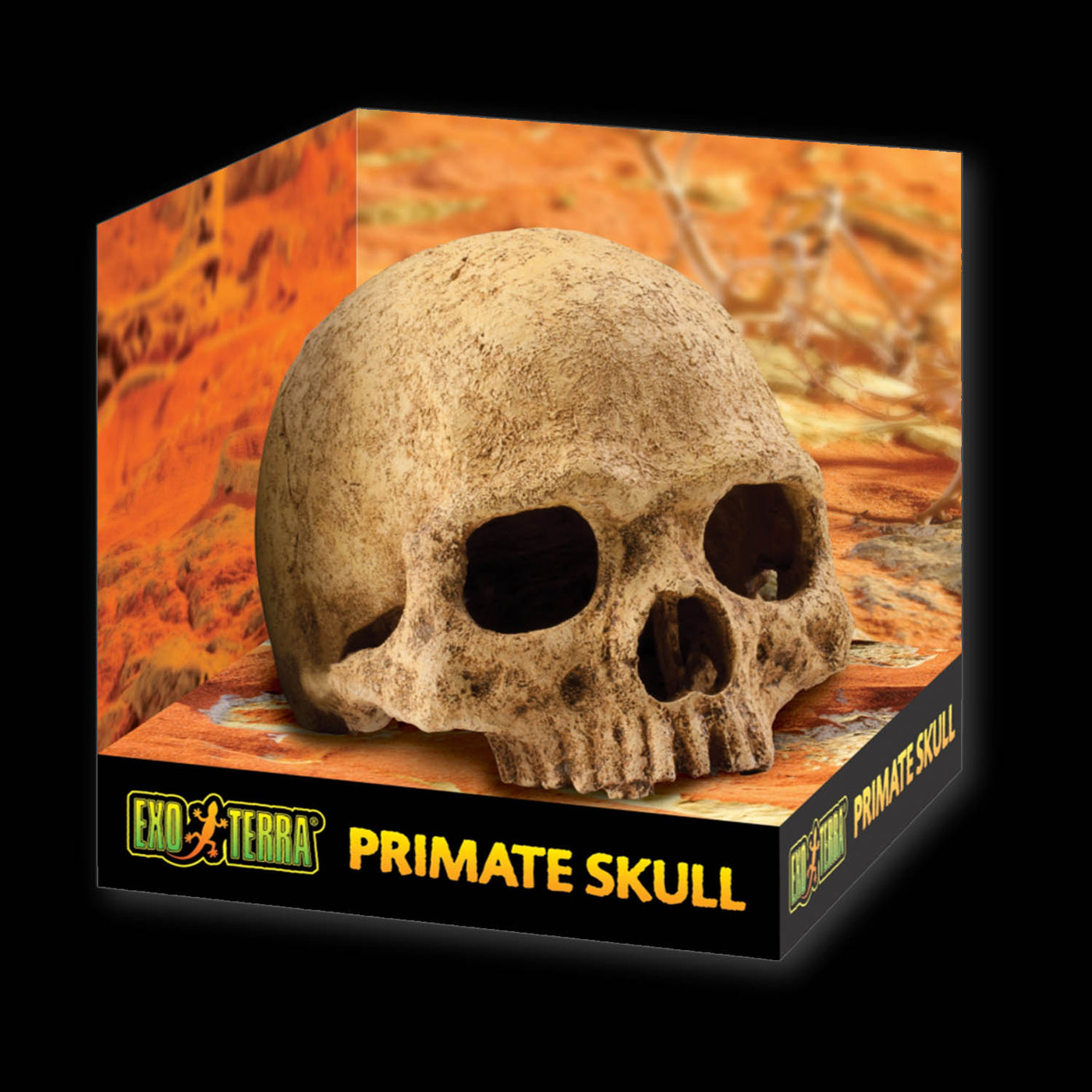 Exo Terra Terrarium Decor Primate Skull