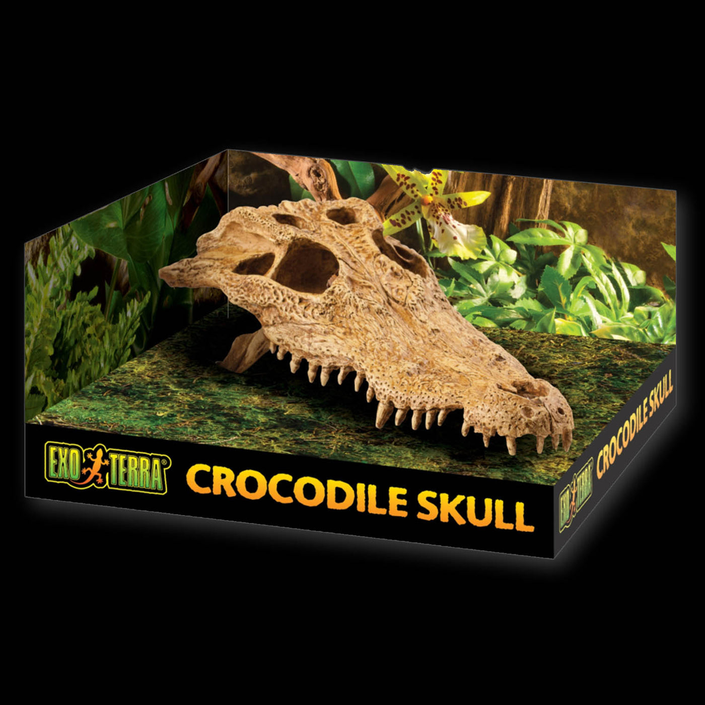 Exo Terra Terrarium Decor Croc Skull