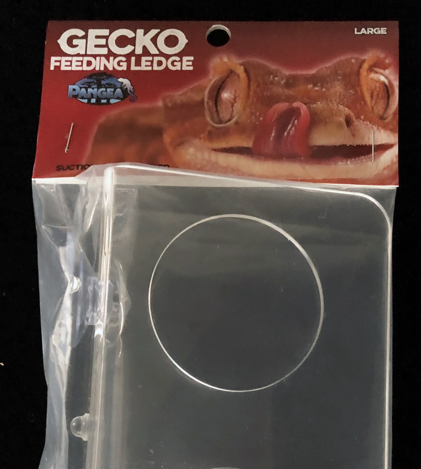 Pangea Suction Cup Gecko Ledge - Large