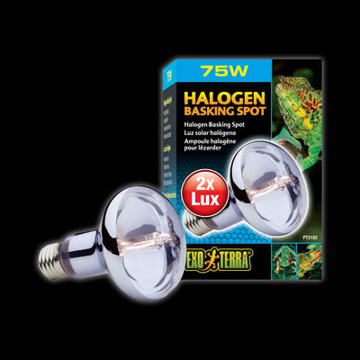 Exo Terra Halogen Basking Spot Lamps