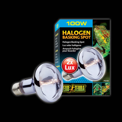 Exo Terra Halogen Basking Spot Lamps