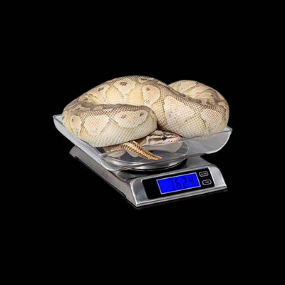 VE DS-6000 Digital Scale