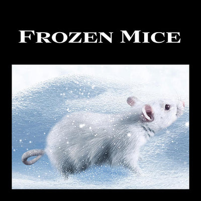 Wilbanks Premium Nutrition -Frozen Mice (Pickup Only)
